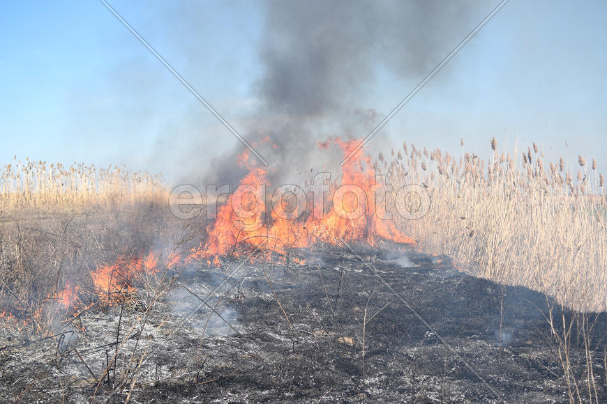 Burning dry grass and reeds. Cleaning the fields and ditches of the thickets of dry grass
