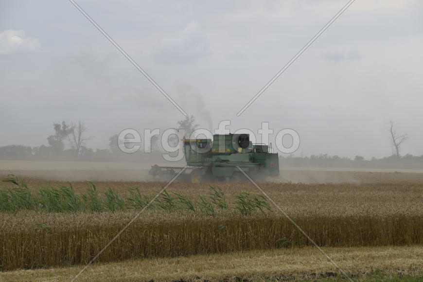 Russia, Temryuk - 01 July 2016: Kombain collects on the wheat crop. Agricultural machinery in the fi
