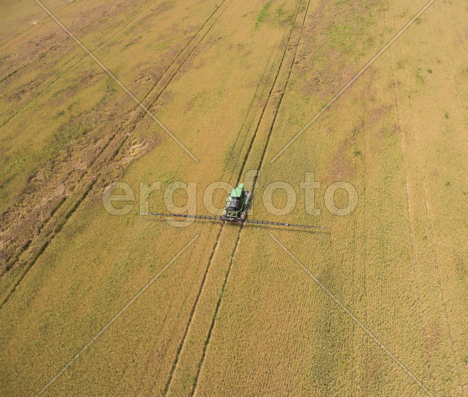 Adding herbicide tractor on the field of ripe wheat. Growing crops in the fields. View from above.