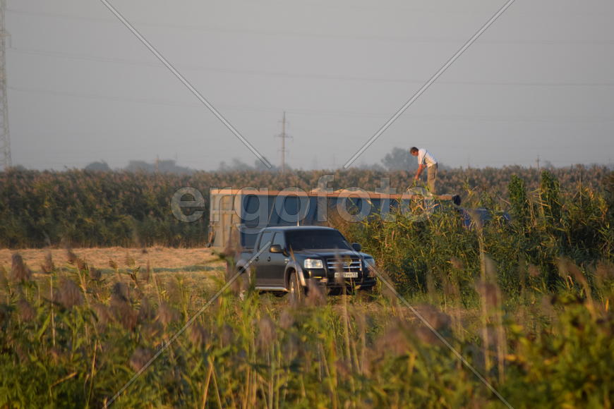 Сельхозтехника в поле рядом с иномаркой 