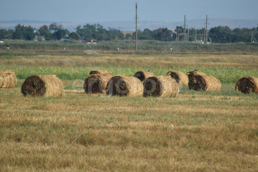 The Haystacks in the field. Summer haymaking