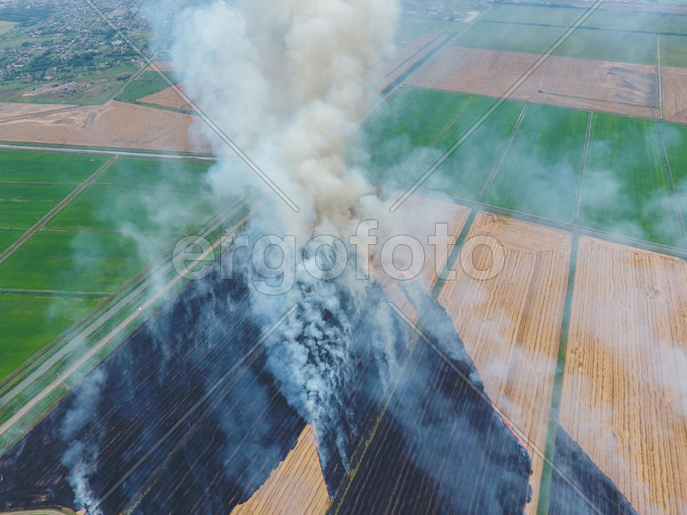 Burning straw in the fields of wheat after harvesting. The pollution of the atmosphere with smoke.