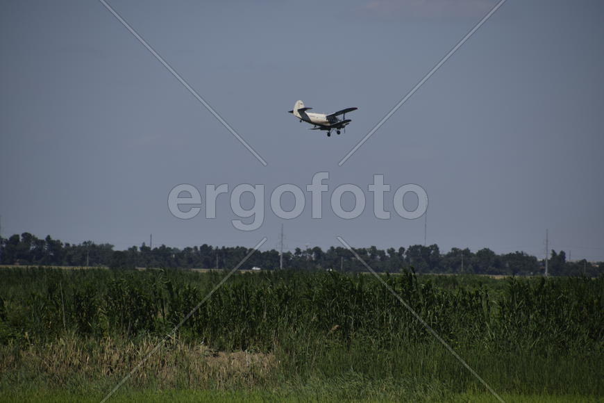 Aircraft agricultural aviation AN-2. The spraying of fertilizers and pesticides on the field with th