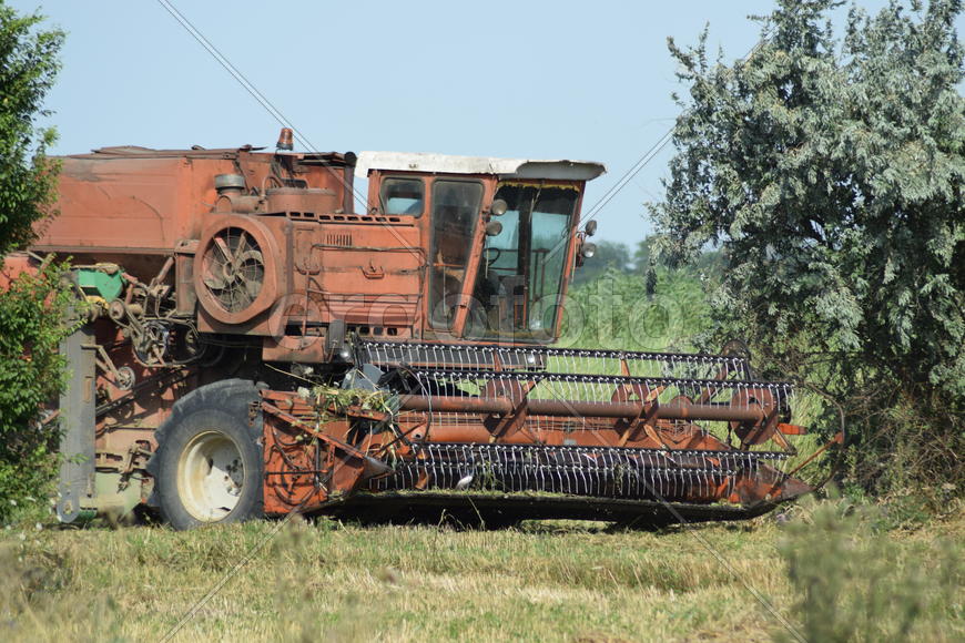 Combine harvester. Agricultural machinery for harvesting from the fields.