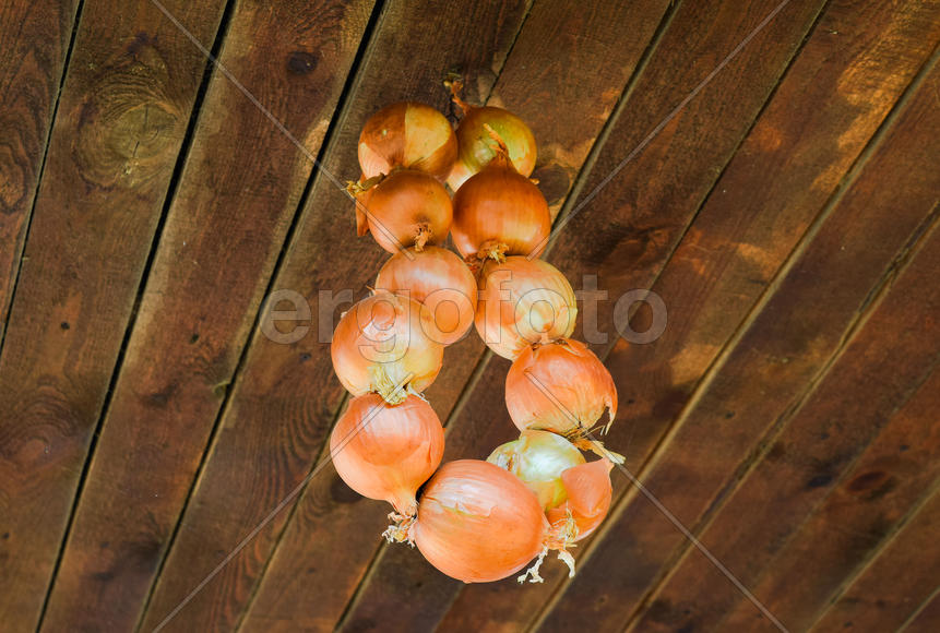 Сушка репчатого лука