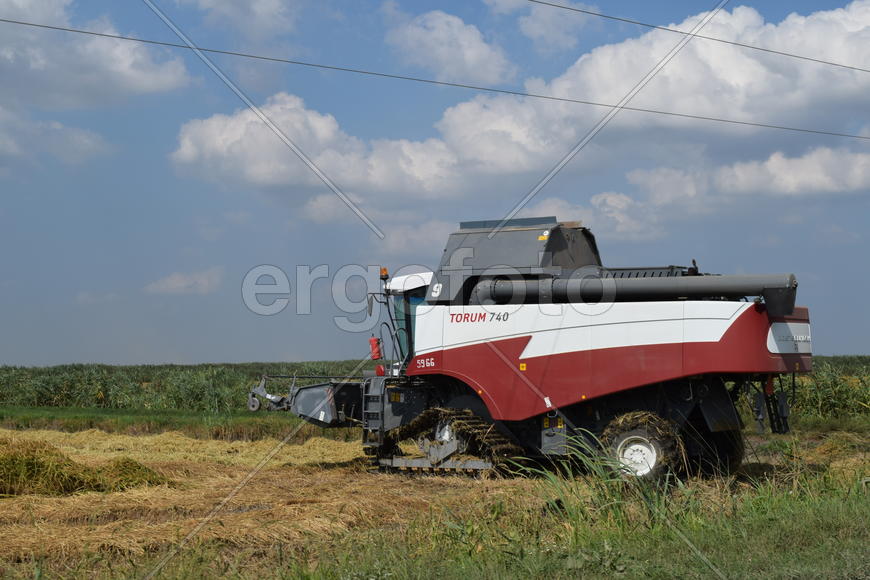 Russia, Poltavskaya village - September 6, 2015: Combine harvesters Torum. Agricultural machinery