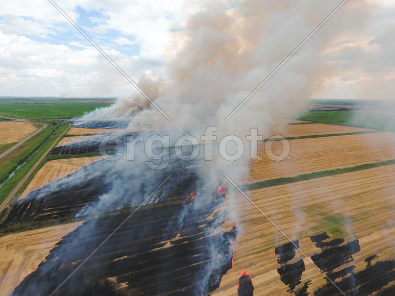 Burning straw in the fields of wheat after harvesting. The pollution of the atmosphere with smoke.
