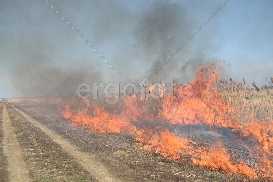 Burning dry grass and reeds. Cleaning the fields and ditches of the thickets of dry grass.