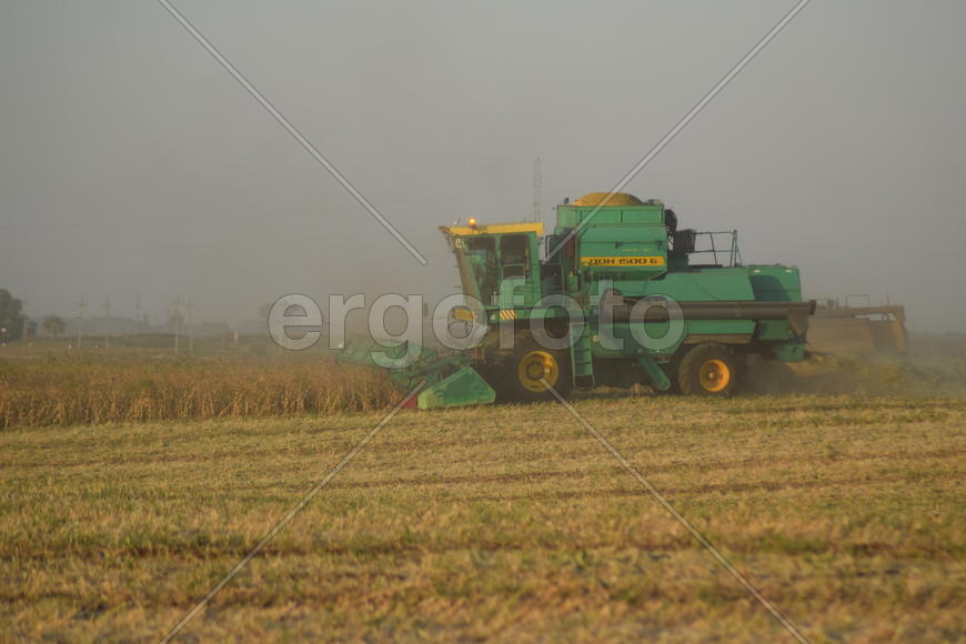 Soy harvesting by combines in the field. Agricultural machinery in operation.