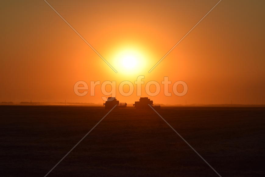 Harvesting by combines at sunset. Agricultural machinery in operation.