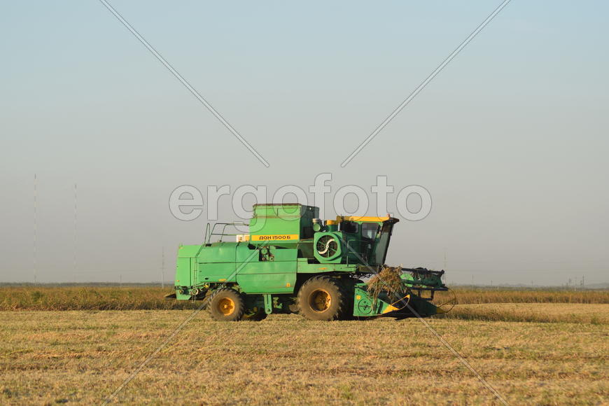 Soy harvesting by combines in the field. Agricultural machinery in operation.