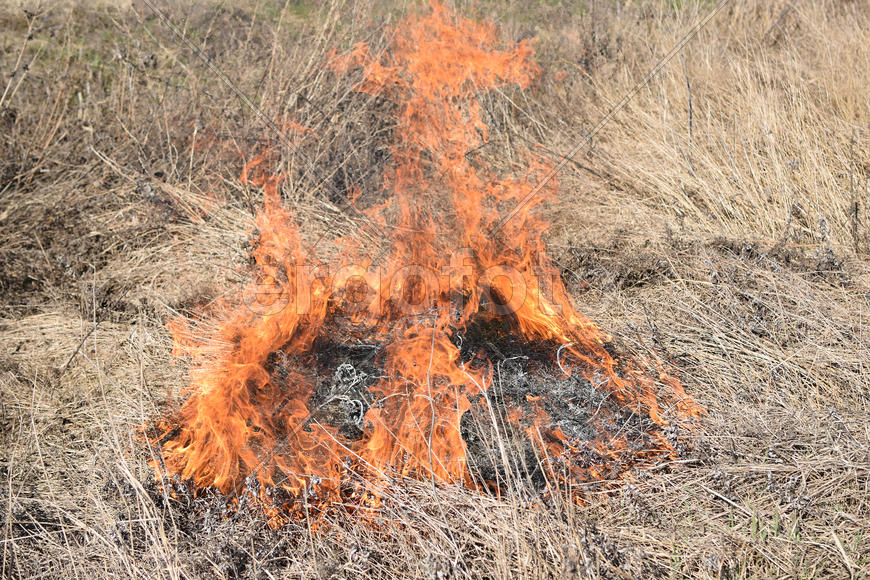 Burning dry grass and reeds. Cleaning the fields and ditches of the thickets of dry grass