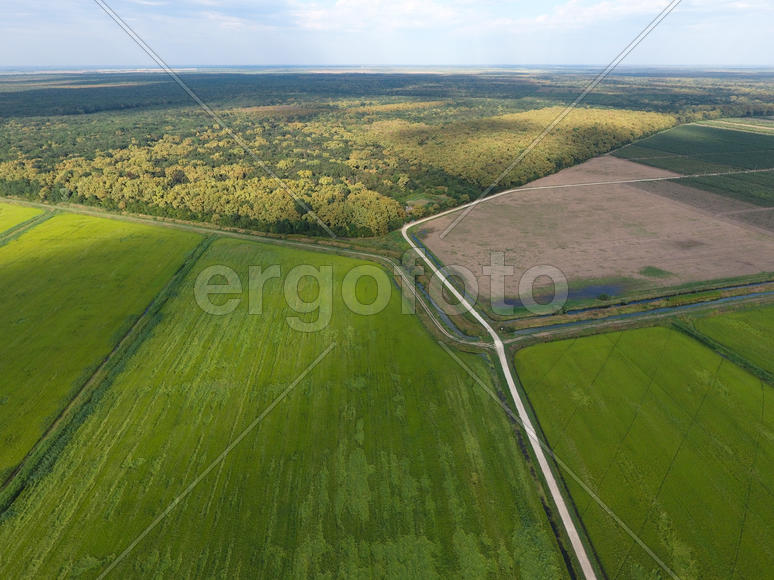 Красный лес. Пейзаж с высоты птичьего полета.