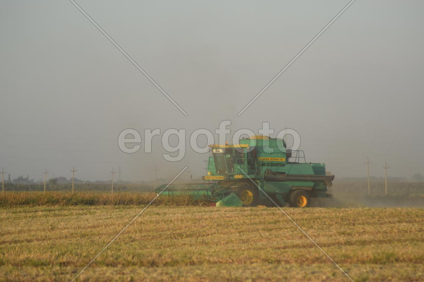 Soy harvesting by combines in the field. Agricultural machinery in operation.