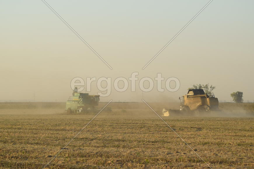 Soy harvesting by combines in the field. Agricultural machinery in operation.