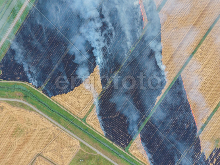 Burning straw in the fields of wheat after harvesting. The pollution of the atmosphere with smoke.