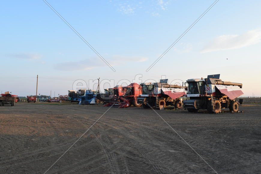 Russia, Poltavskaya village - September 6, 2015: Combine harvesters Torum. Agricultural machinery