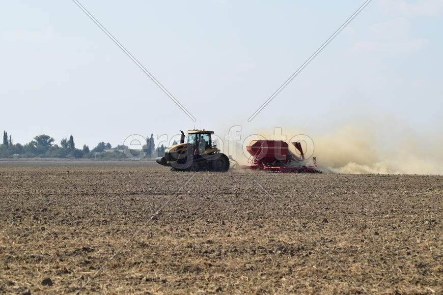 Russia, Temryuk - 19 July 2015: Tractor rides on the field and makes the fertilizer into the soil. C