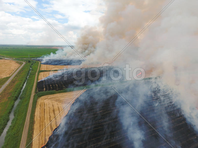 Burning straw in the fields of wheat after harvesting. The pollution of the atmosphere with smoke.