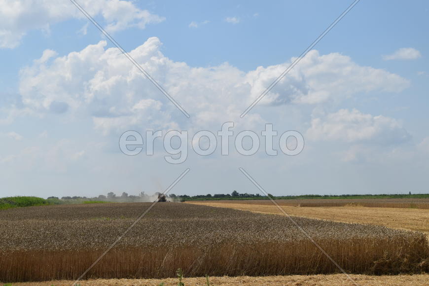 Combine harvester. Agricultural machinery for harvesting from the fields.