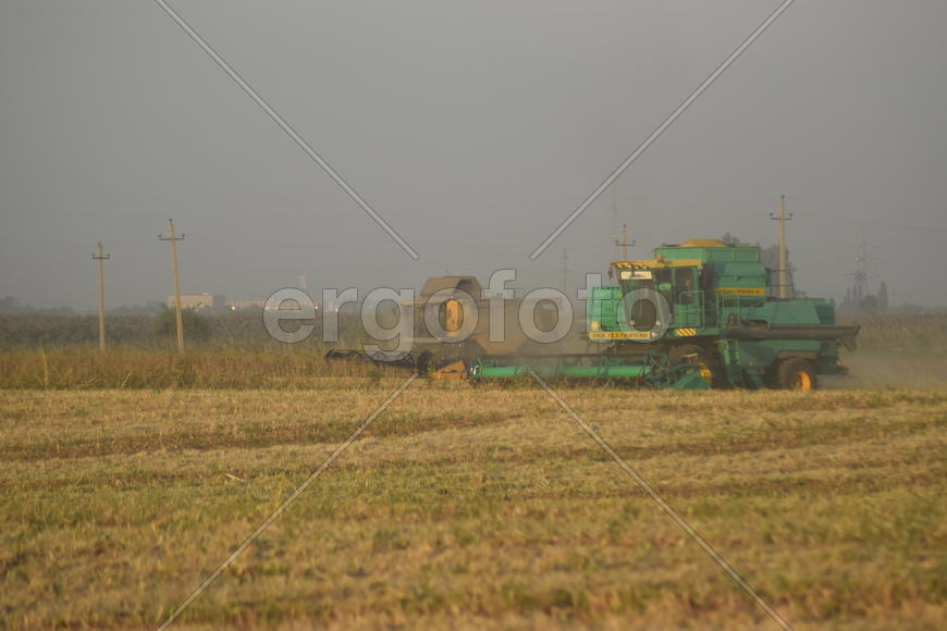 Soy harvesting by combines in the field. Agricultural machinery in operation.
