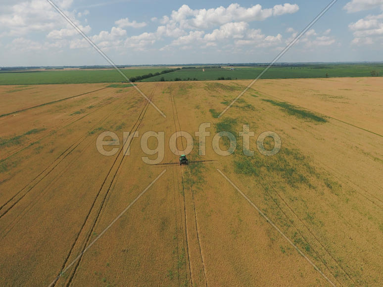 Adding herbicide tractor on the field of ripe wheat. Growing crops in the fields. View from above.