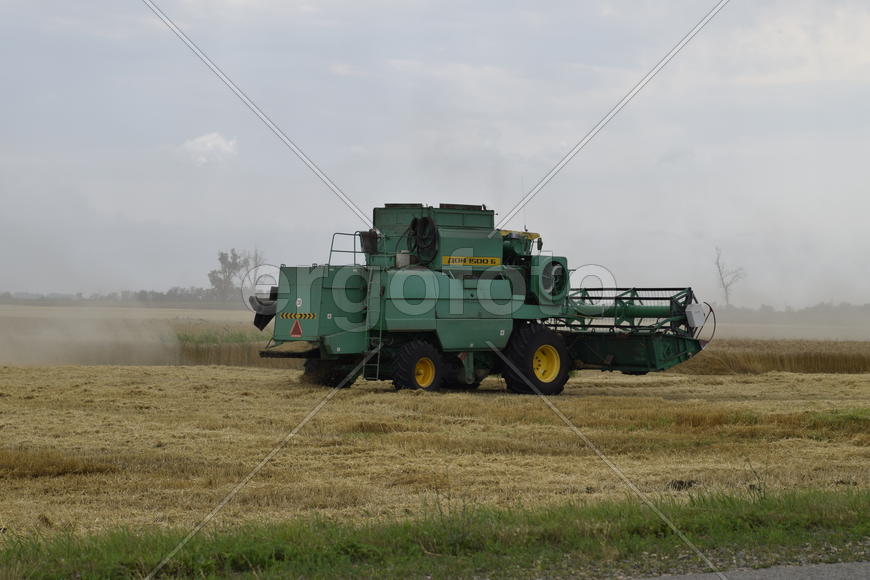 Russia, Temryuk - 01 July 2016: Kombain collects on the wheat crop. Agricultural machinery in the fi