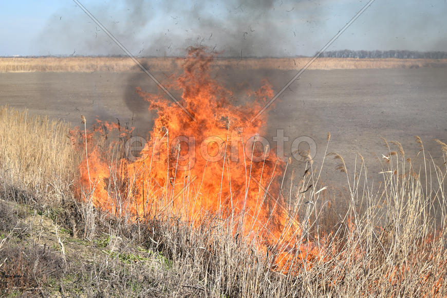 Burning dry grass and reeds. Cleaning the fields and ditches of the thickets of dry grass