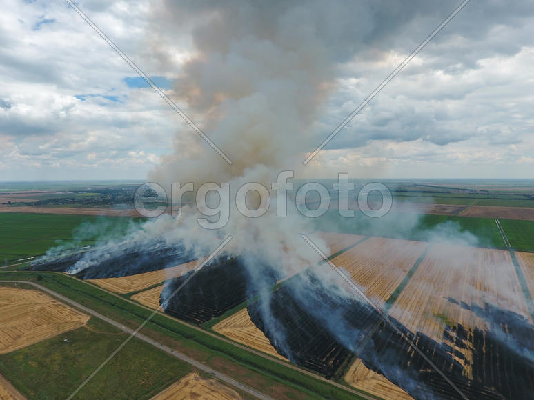Burning straw in the fields of wheat after harvesting. The pollution of the atmosphere with smoke.