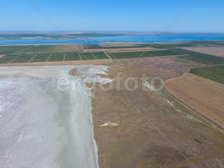 Виноградники возле соленого озера. Вид сверху.