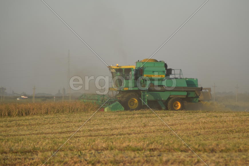 Soy harvesting by combines in the field. Agricultural machinery in operation.