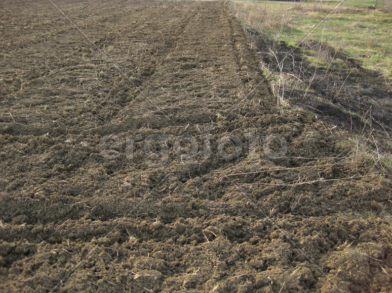 Disc harrow plow the garden. Private infield. Caring for the soil. Preparation for sowing