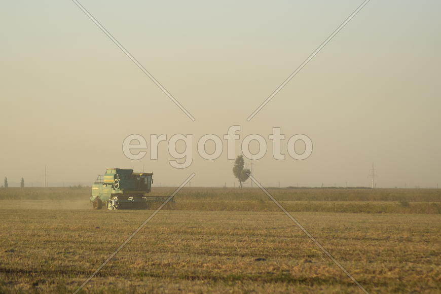 Soy harvesting by combines in the field. Agricultural machinery in operation.