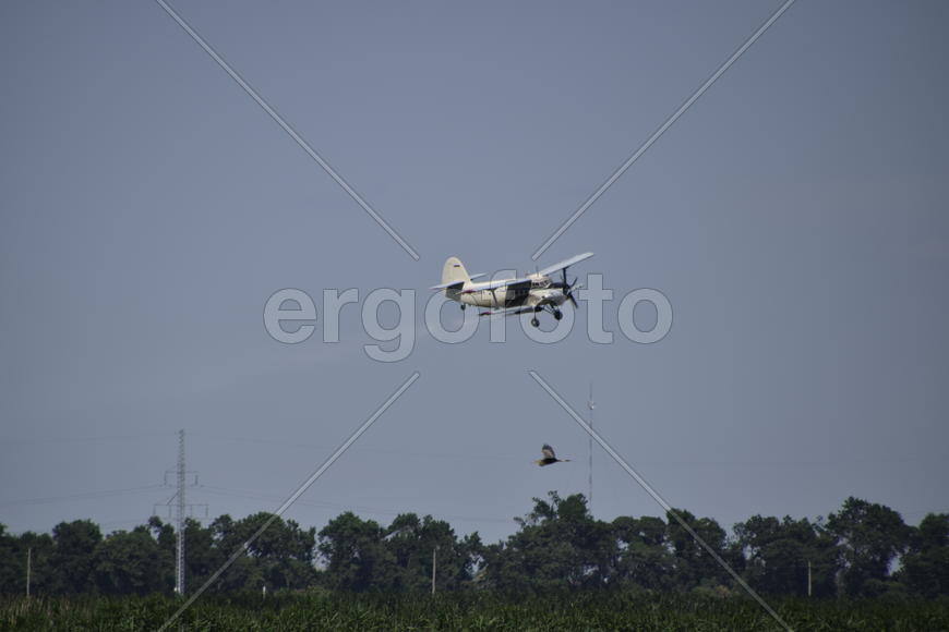 Aircraft agricultural aviation AN-2. The spraying of fertilizers and pesticides on the field with th