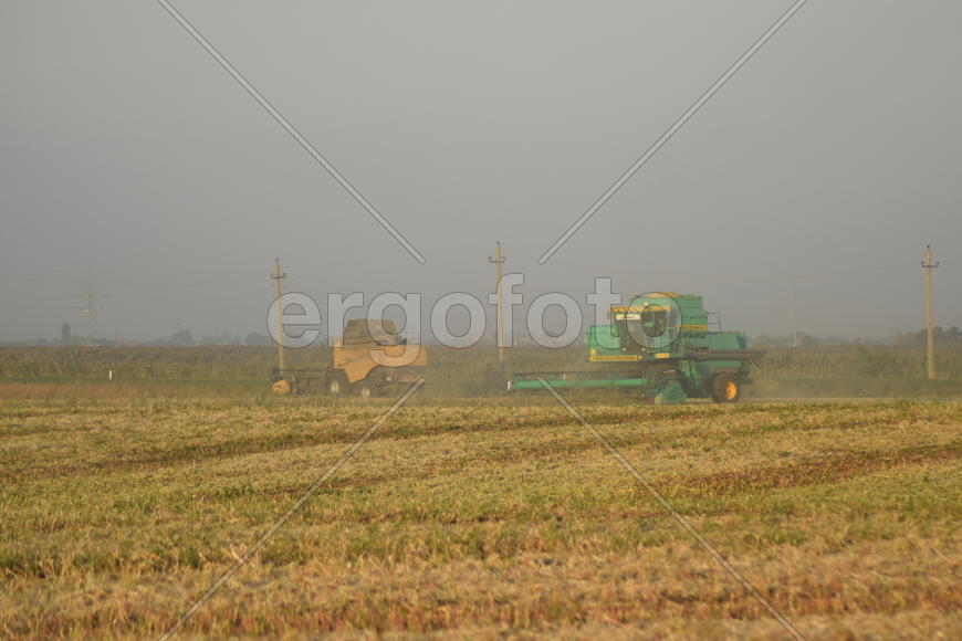 Soy harvesting by combines in the field. Agricultural machinery in operation.