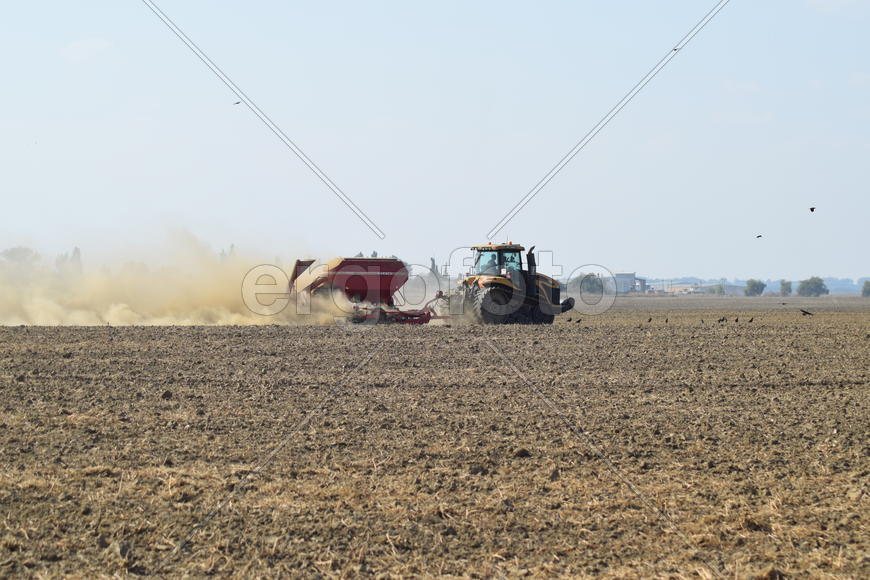 Russia, Temryuk - 19 July 2015: Tractor rides on the field and makes the fertilizer into the soil. C