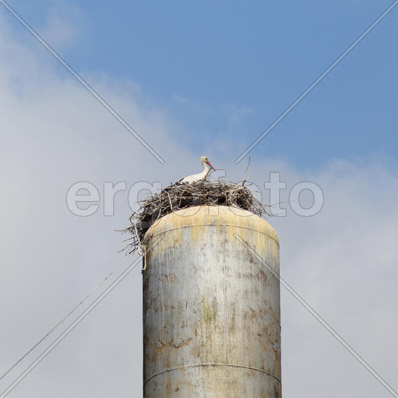 Stork on a roof of a water tower. Stork nest