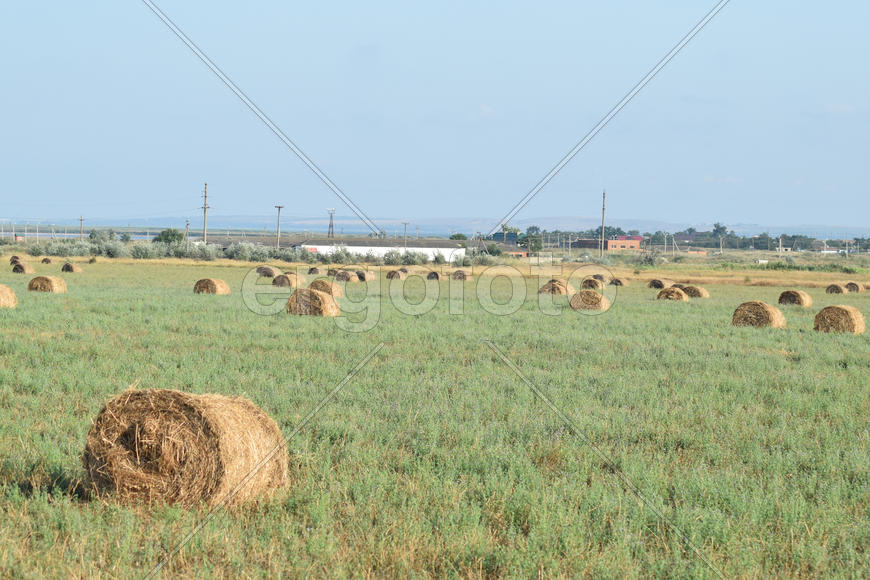 The Haystacks in the field. Summer haymaking
