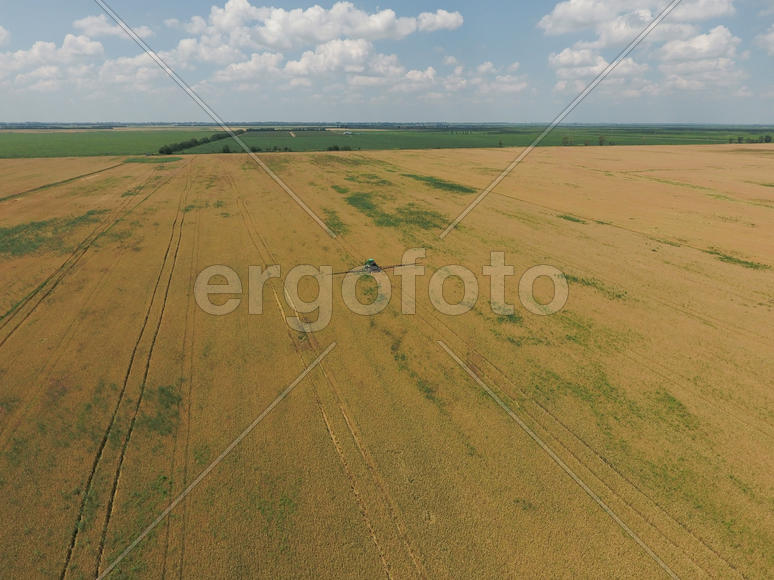Adding herbicide tractor on the field of ripe wheat. Growing crops in the fields. View from above.