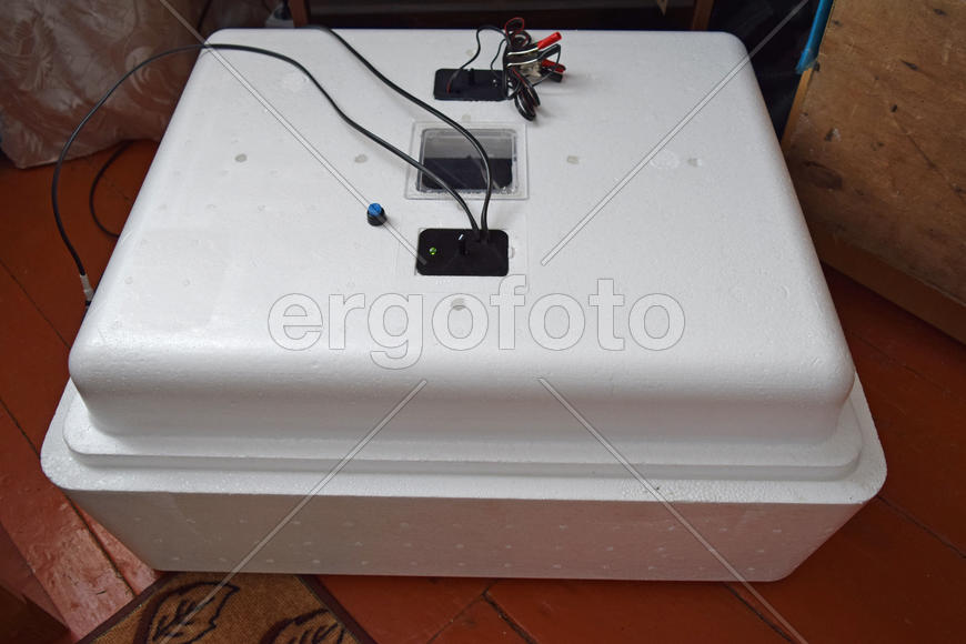 Incubator for a conclusion of chickens, ducklings and gooses. Equipment for a household