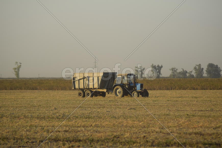 Soy harvesting by combines in the field. Agricultural machinery in operation.
