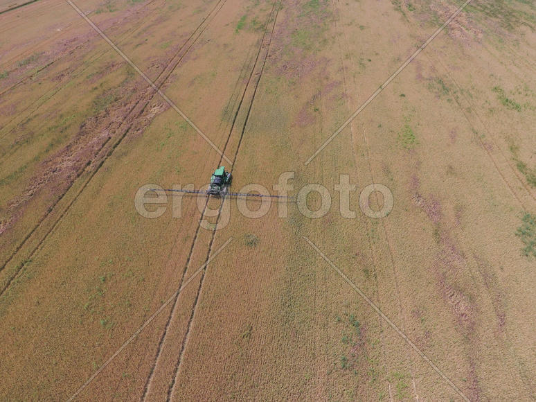 Adding herbicide tractor on the field of ripe wheat. Growing crops in the fields. View from above.