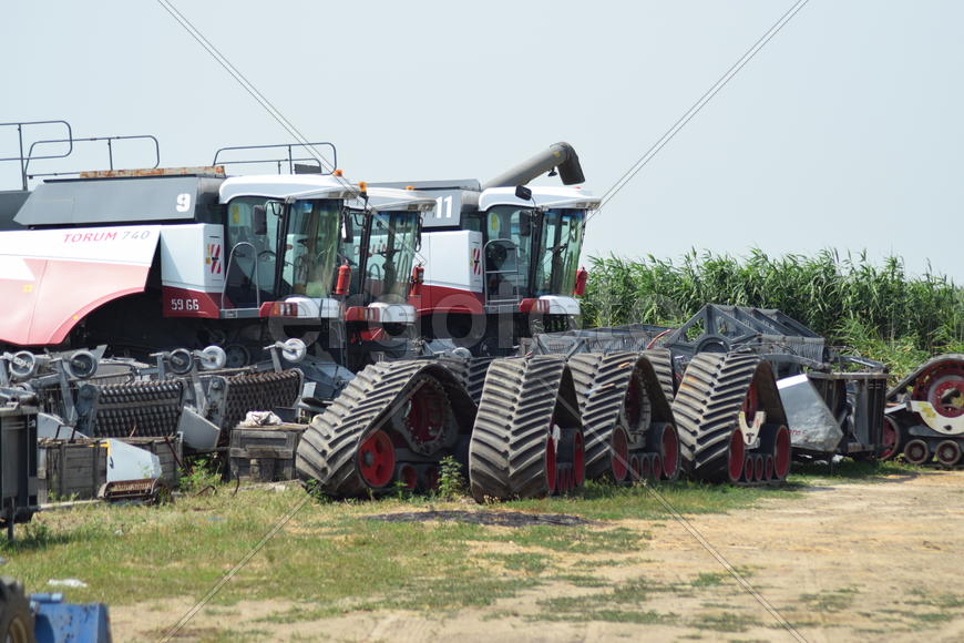 Russia, Poltavskaya village - September 6, 2015: Combine harvesters Torum. Agricultural machinery