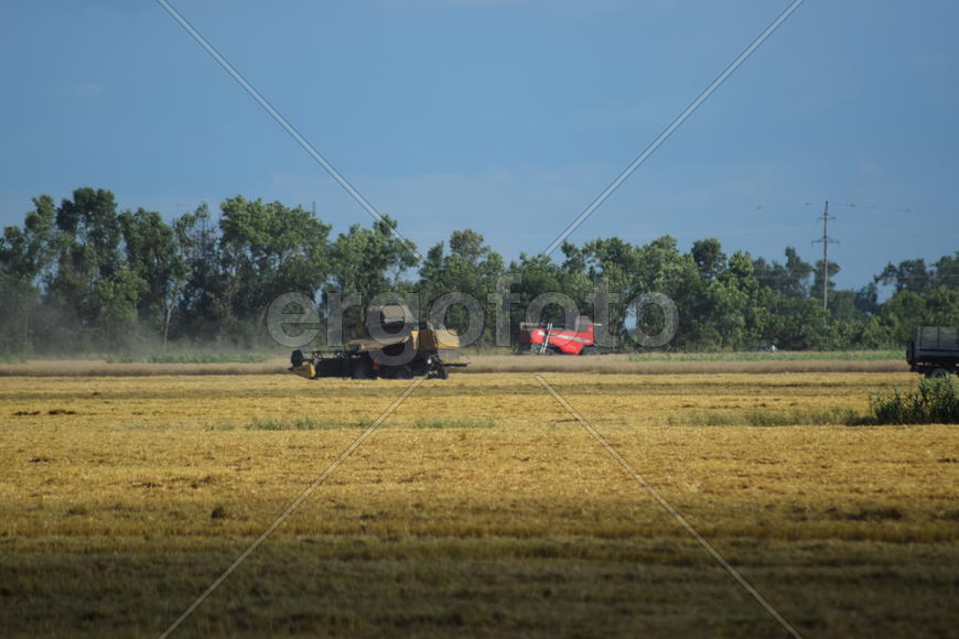 Combine harvester. Agricultural machinery for harvesting from the fields.