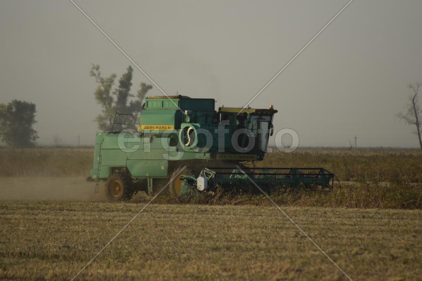 Soy harvesting by combines in the field. Agricultural machinery in operation.