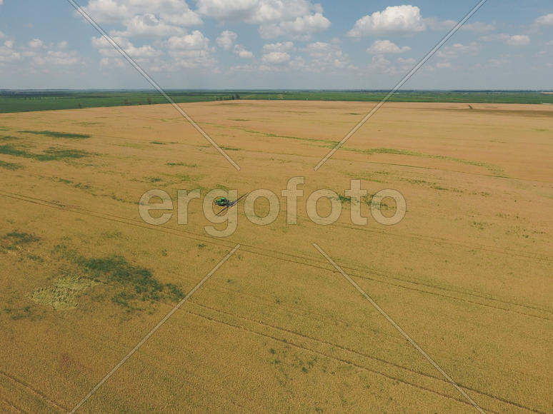 Adding herbicide tractor on the field of ripe wheat. Growing crops in the fields. View from above.