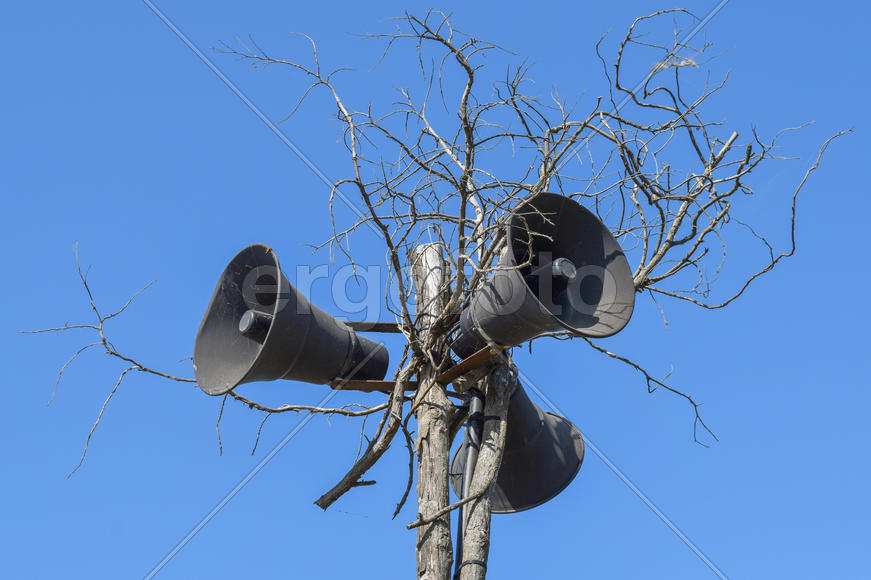 Старинные громкоговорители на сухом дереве 