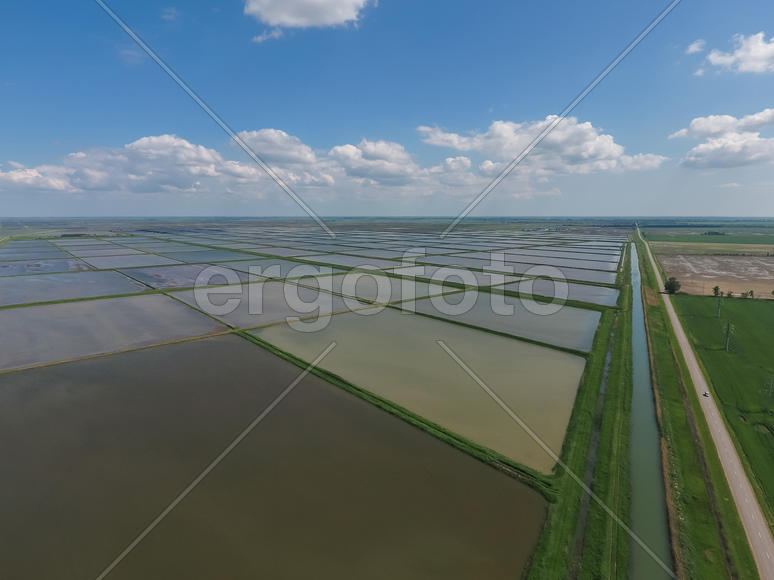 Затоплены рисовые поля. Аэросъемка 