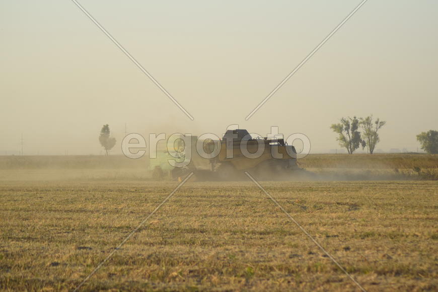 Soy harvesting by combines in the field. Agricultural machinery in operation.