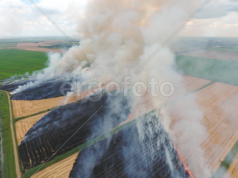 Burning straw in the fields of wheat after harvesting. The pollution of the atmosphere with smoke.